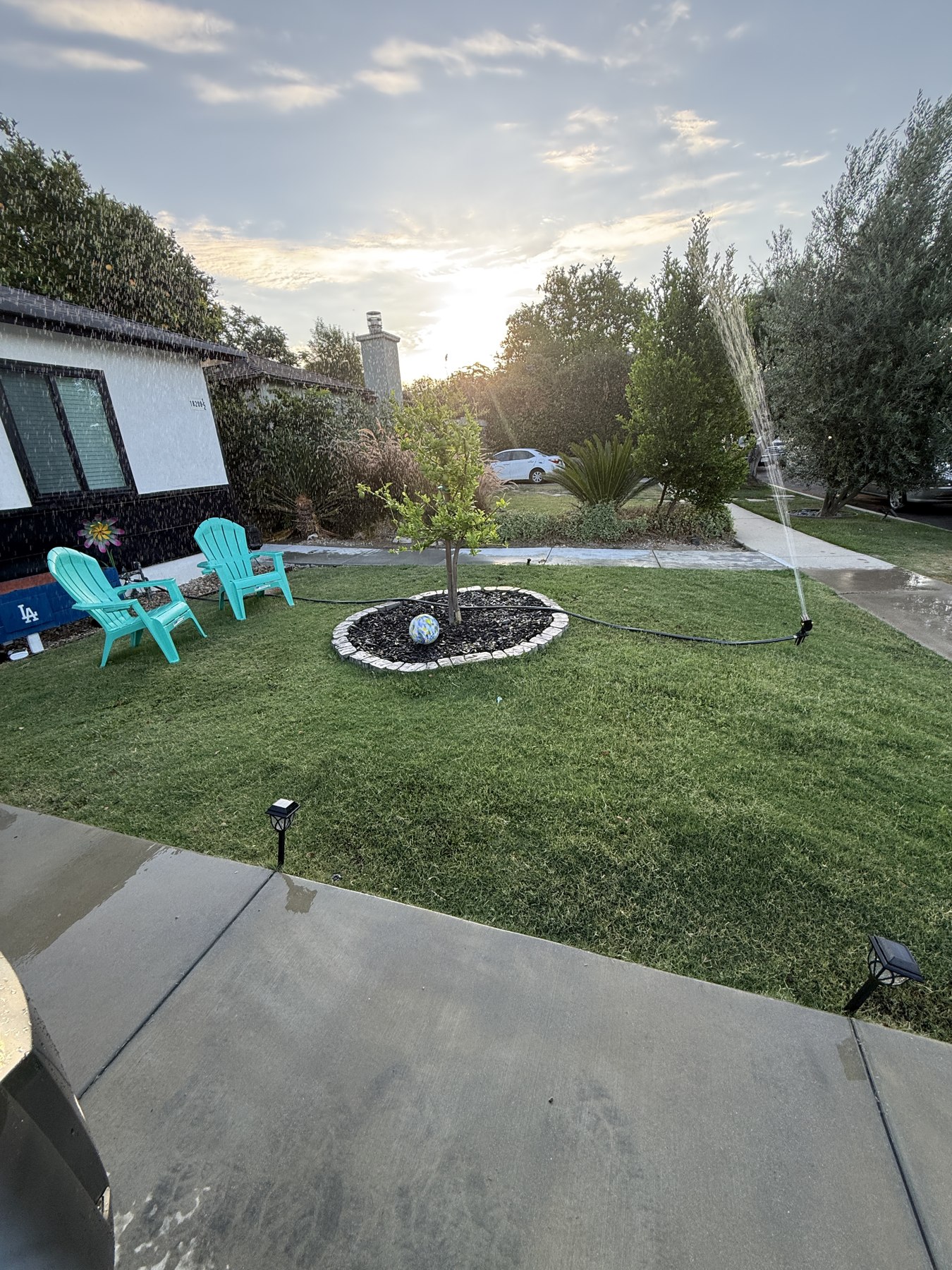 Backyard and outdoor living area